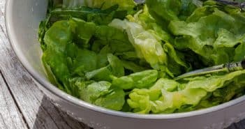 Comment enlever une salade du jardin