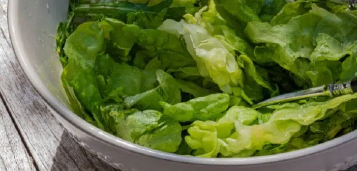 Comment enlever une salade du jardin