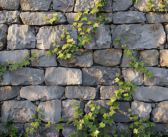 Habillage mur extérieur en pierre : astuces et techniques pour un look authentique