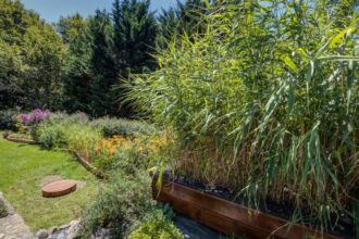 Fosse toutes eaux ou phytoépuration ?